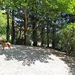 En Pleine Nature - Parc, Piscine, Jacuzzi Hébergement de vacances Brézilhac
