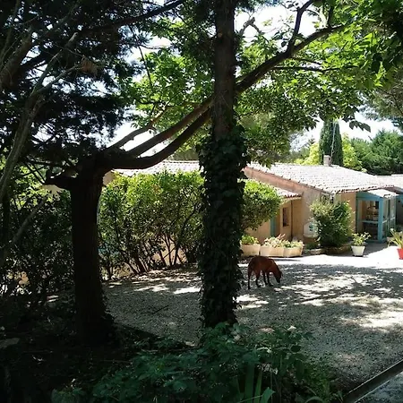 En Pleine Nature - Parc, Piscine, Jacuzzi Hébergement de vacances