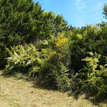 Holiday home En Pleine Nature - Parc, Piscine, Jacuzzi