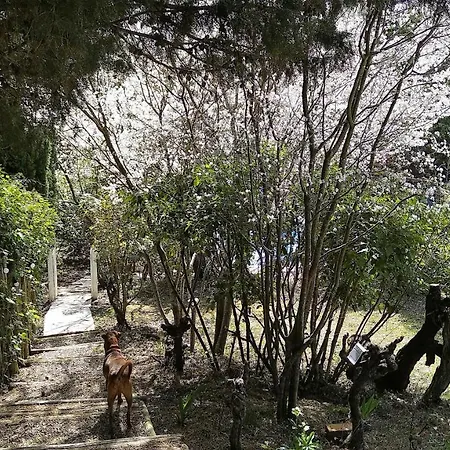 Hébergement de vacances En Pleine Nature - Parc, Piscine, Jacuzzi