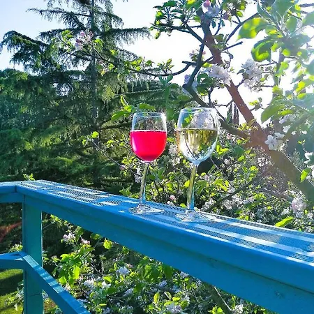 Hébergement de vacances En Pleine Nature - Parc, Piscine, Jacuzzi Brézilhac