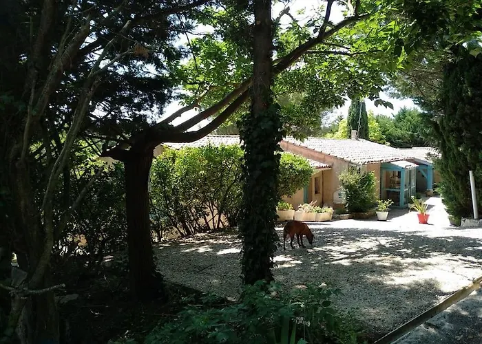 En Pleine Nature - Parc, Piscine, Jacuzzi Nyaraló