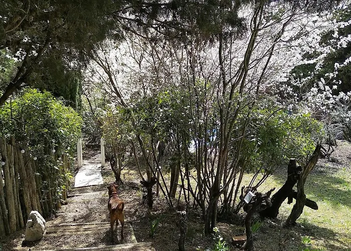 Nyaraló En Pleine Nature - Parc, Piscine, Jacuzzi