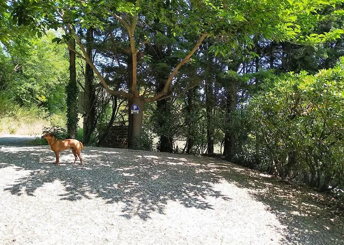 En Pleine Nature - Parc, Piscine, Jacuzzi Nyaraló Brézilhac