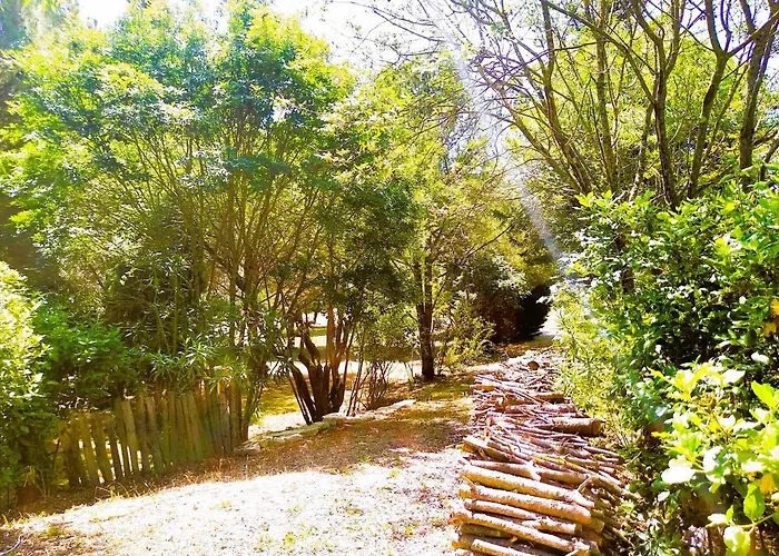 Nyaraló En Pleine Nature - Parc, Piscine, Jacuzzi Brézilhac